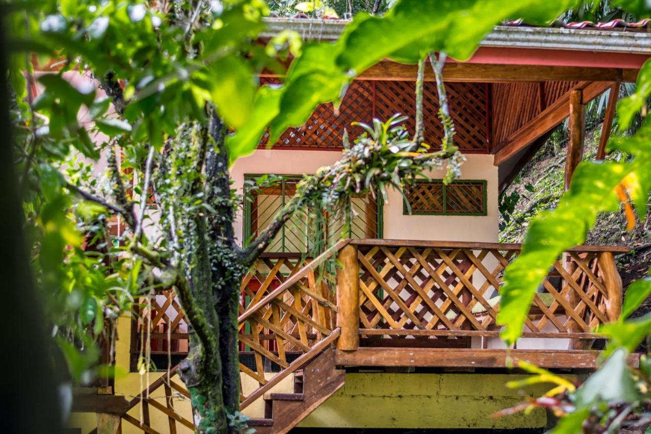 Sea Tower Hotel Puerto Viejo de Talamanca Eksteriør bilde
